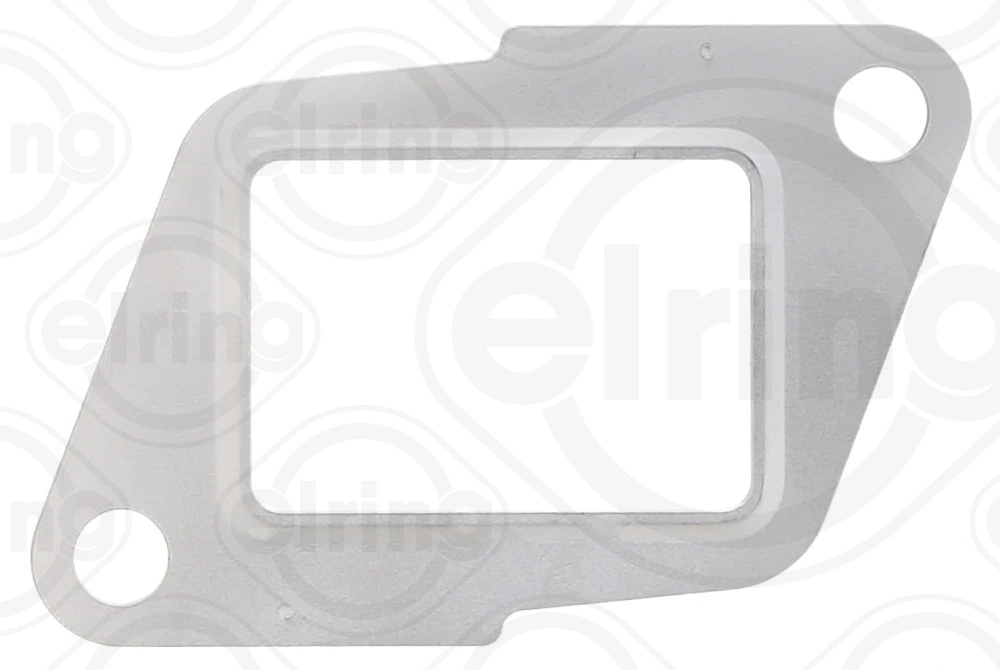 Gasket, EGR valve
