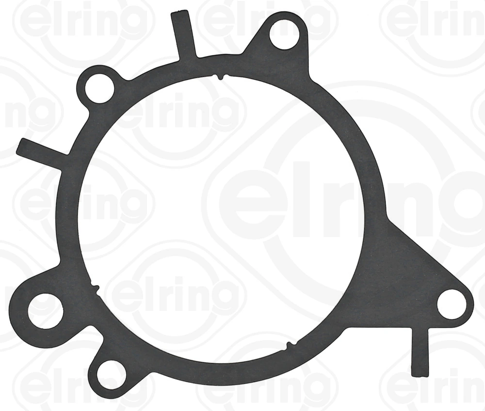 Gasket, vacuum pump
