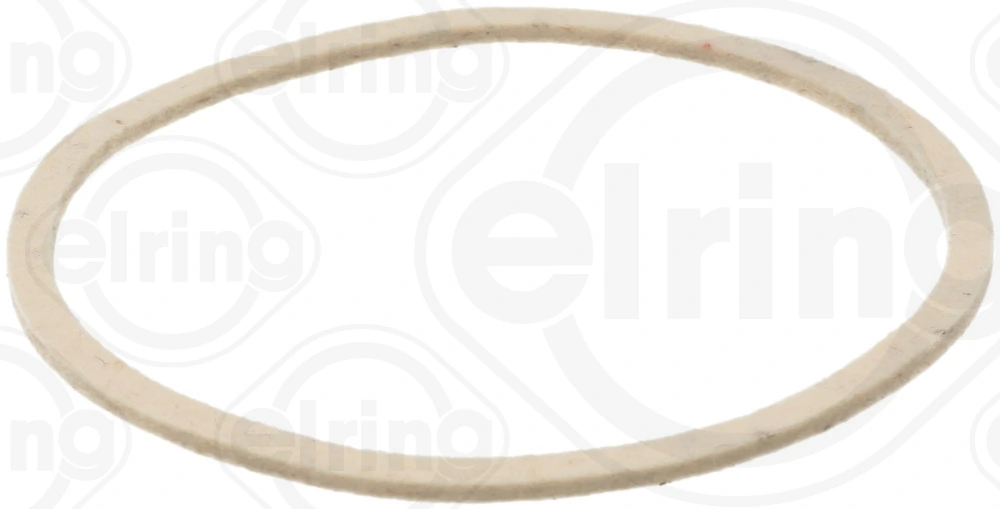 Shaft Seal, crankshaft