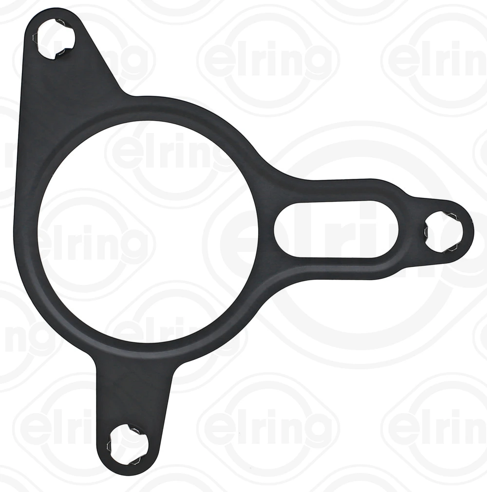 Gasket, vacuum pump