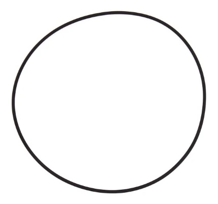 Seal Ring