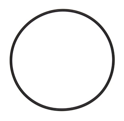 Seal Ring