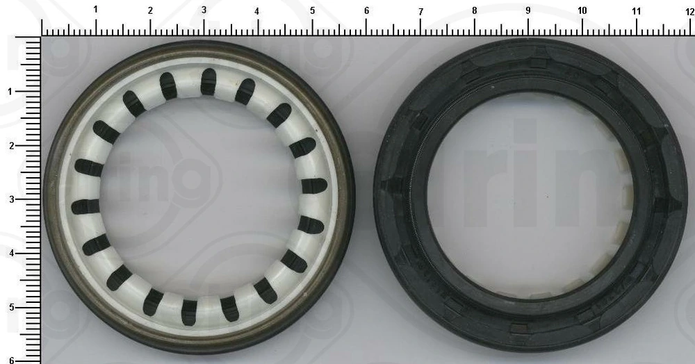 Shaft Seal, differential