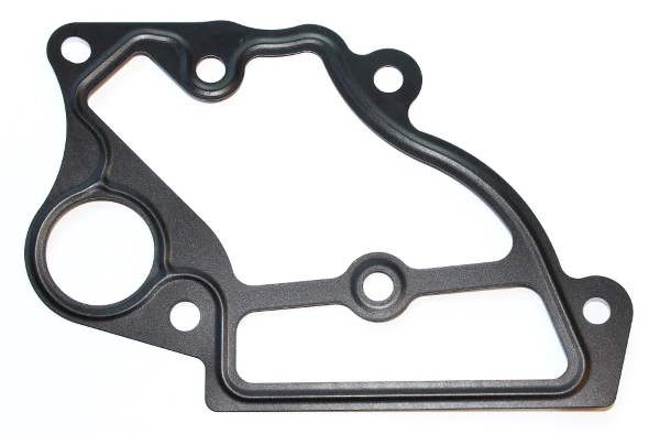 Gasket, coolant flange