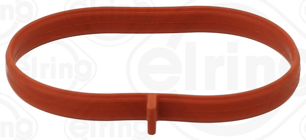 Gasket, intake manifold