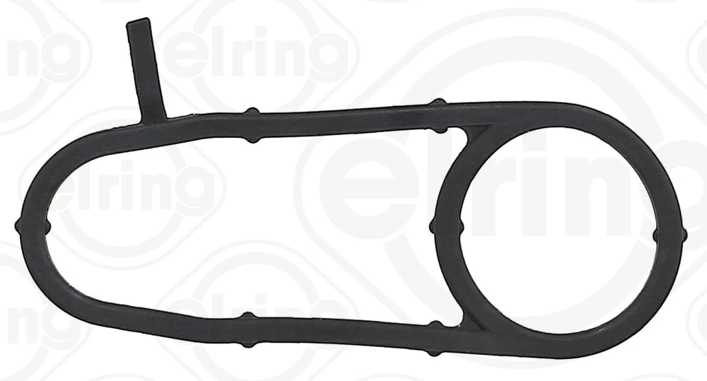 Gasket, oil cooler