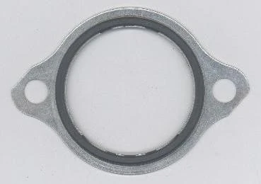 Seal, thermostat