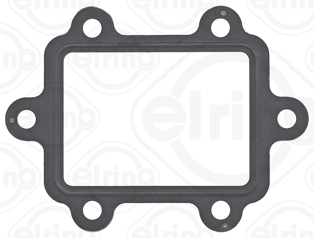 Gasket, EGR valve