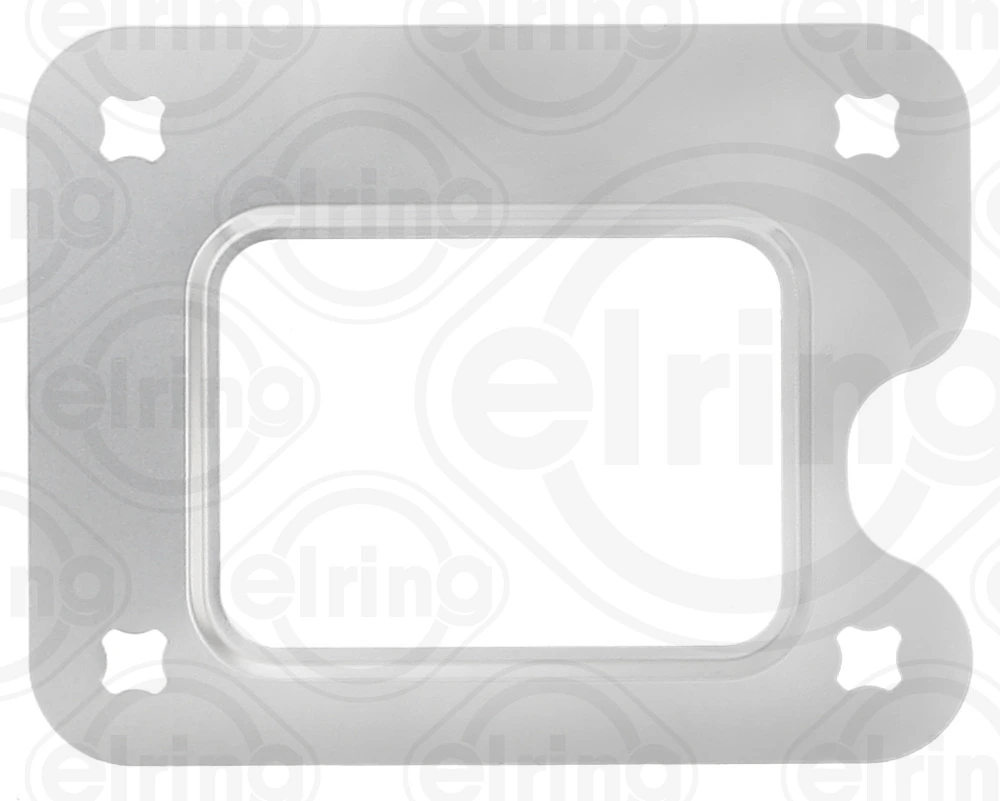 Gasket, EGR valve