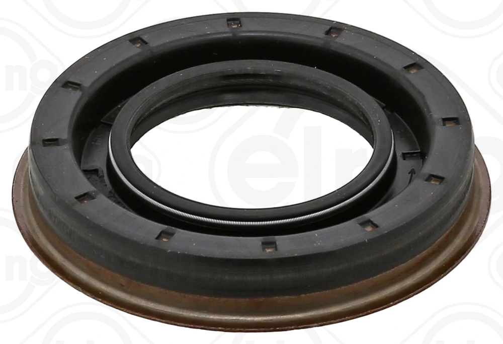 Shaft Seal, differential