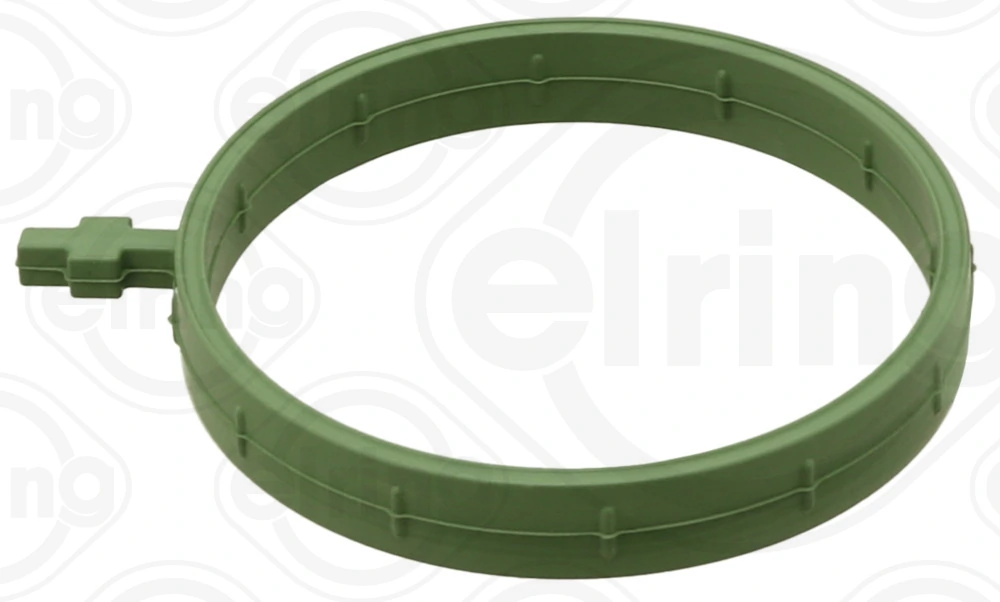 Seal Ring, charger