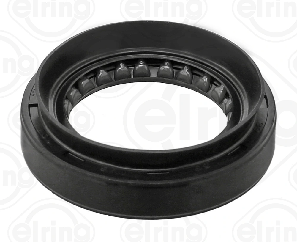 Shaft Seal, differential