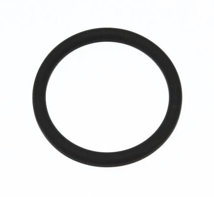 Seal Ring