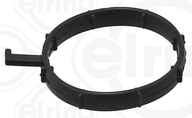 Gasket, coolant flange