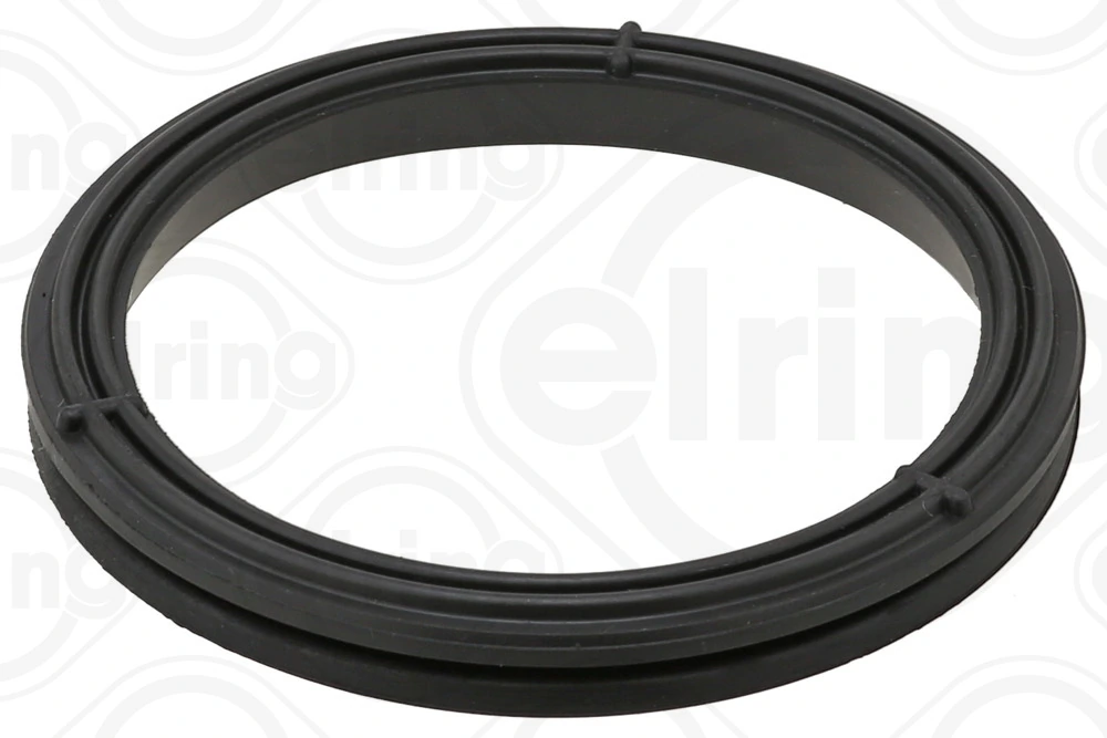 Gasket, timing case cover
