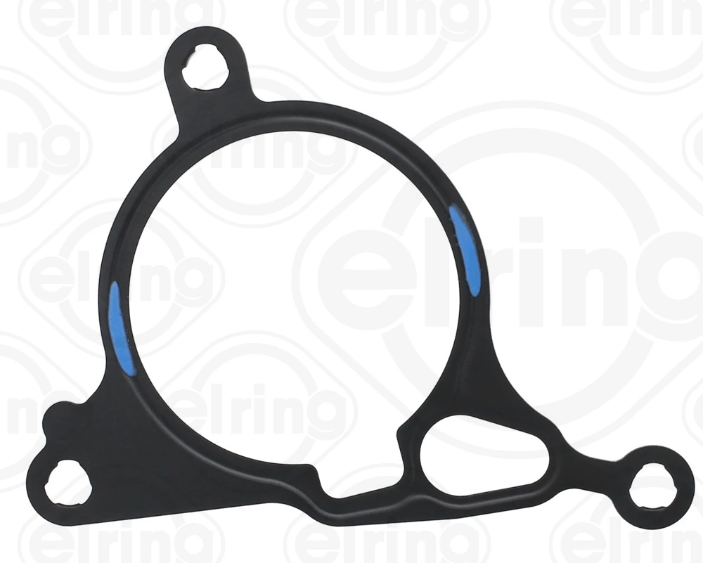 Gasket, vacuum pump