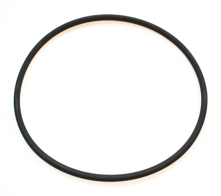 Seal Ring