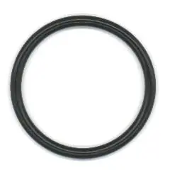 Seal Ring