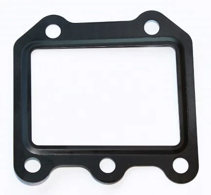 Gasket, EGR valve