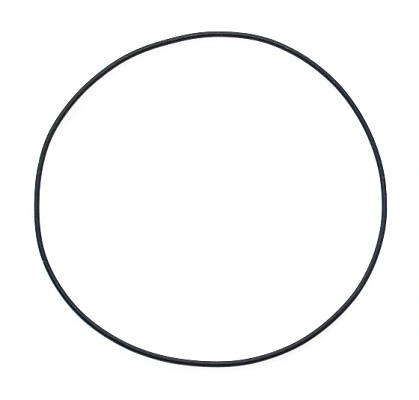 Seal Ring