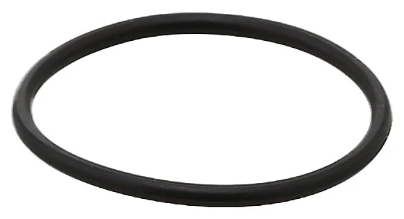 Seal Ring