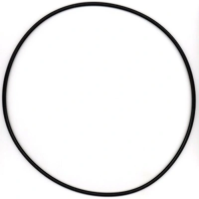 Seal Ring
