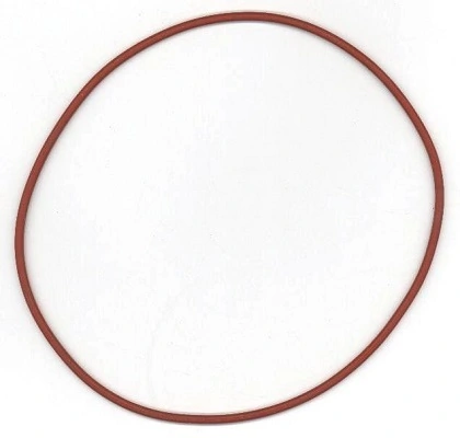 Seal Ring