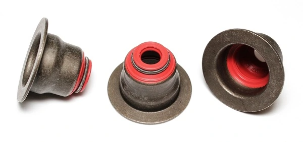 Seal Ring, valve stem