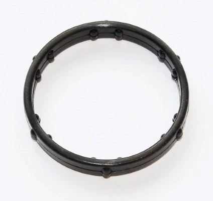 Gasket, coolant flange