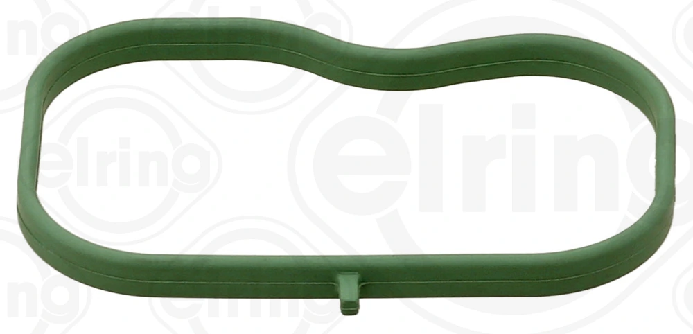 Gasket, intake manifold
