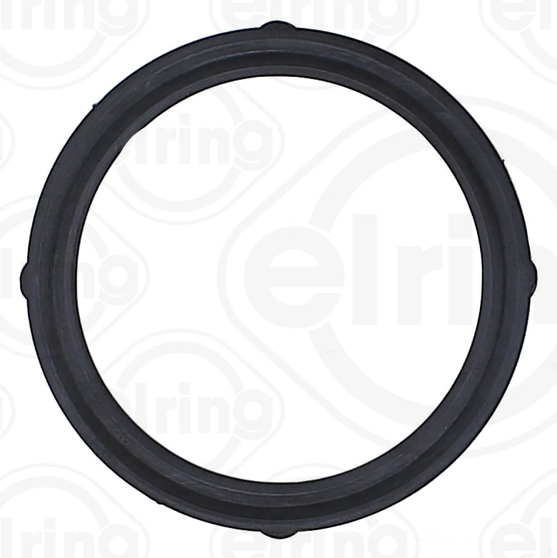 Gasket, EGR valve
