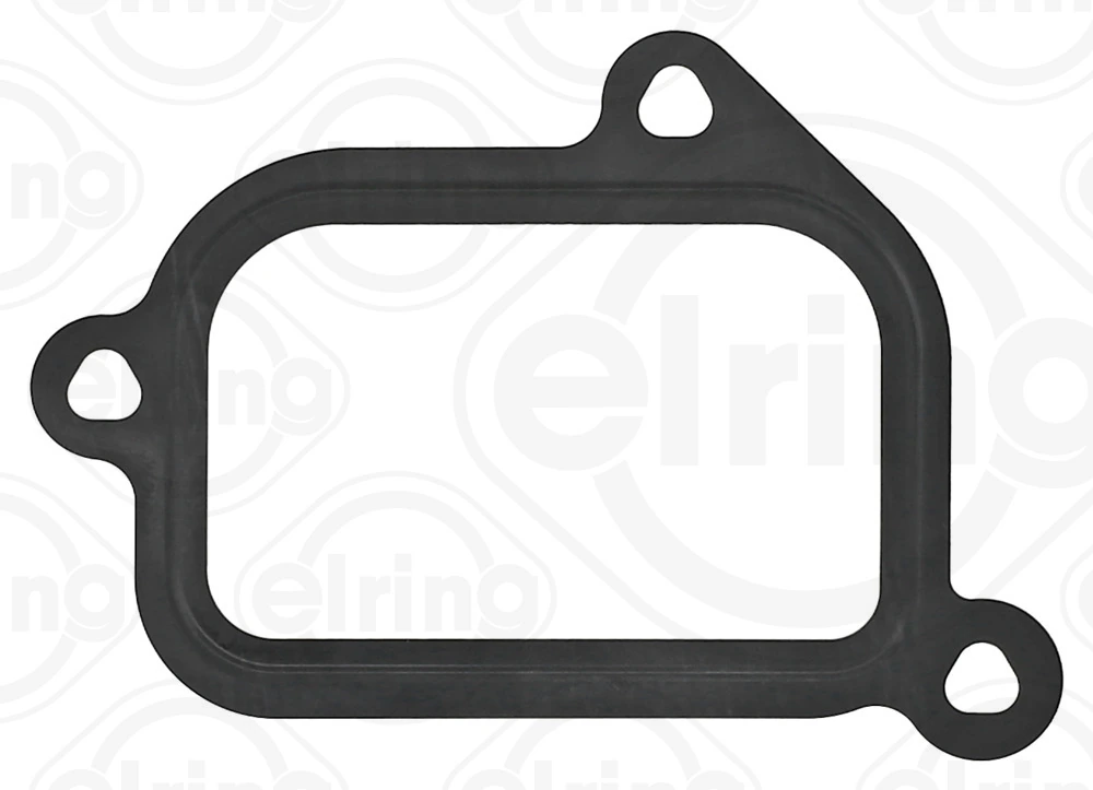 Gasket, coolant flange