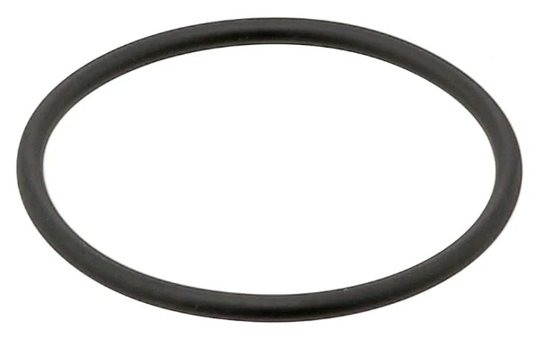 Seal Ring