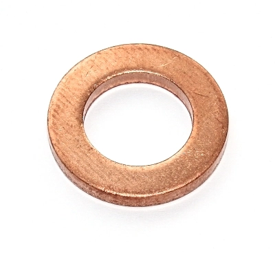 Seal Ring, nozzle holder