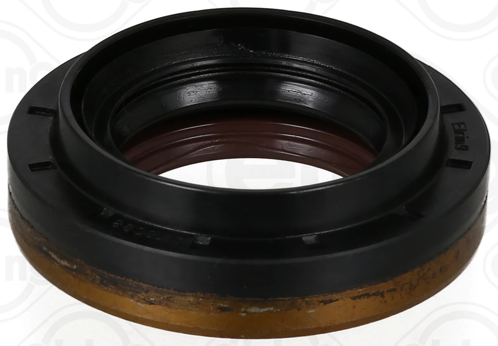 Shaft Seal, differential
