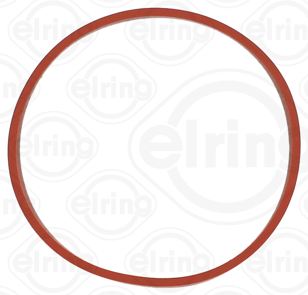 Gasket, EGR valve