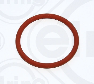 Gasket, timing case cover