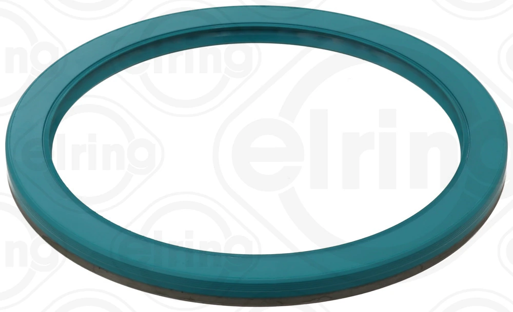Shaft Seal, wheel hub