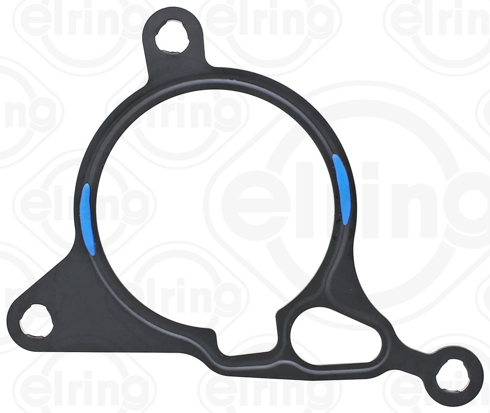 Gasket, vacuum pump
