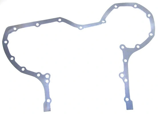 Gasket, timing case cover
