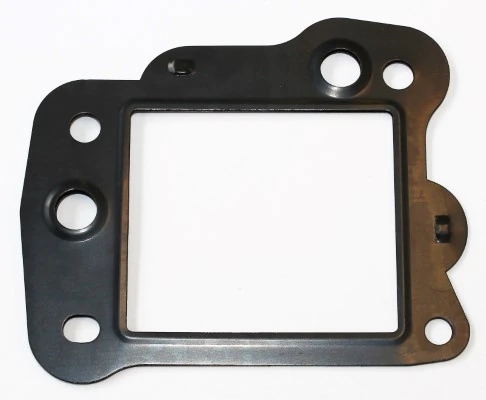 Gasket, EGR valve