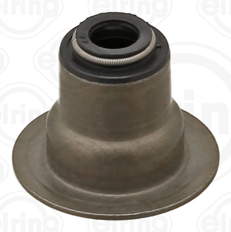 Seal Ring, valve stem
