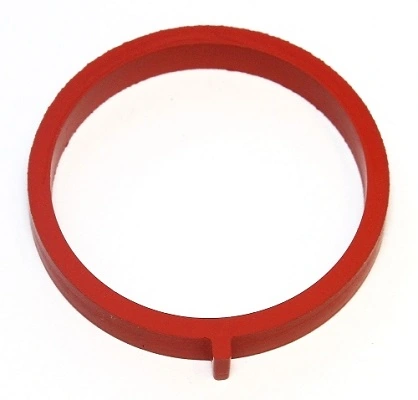 Gasket, intake manifold