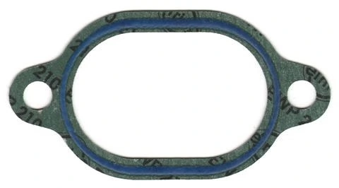 Gasket, coolant flange