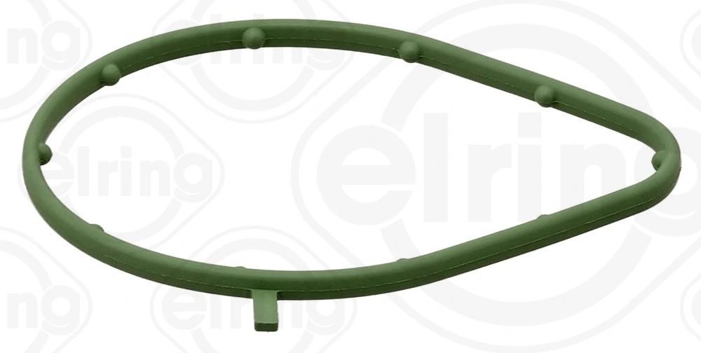 Gasket, vacuum pump