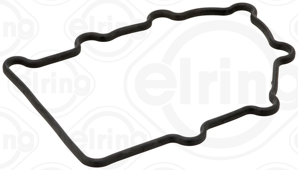 Gasket, timing case cover