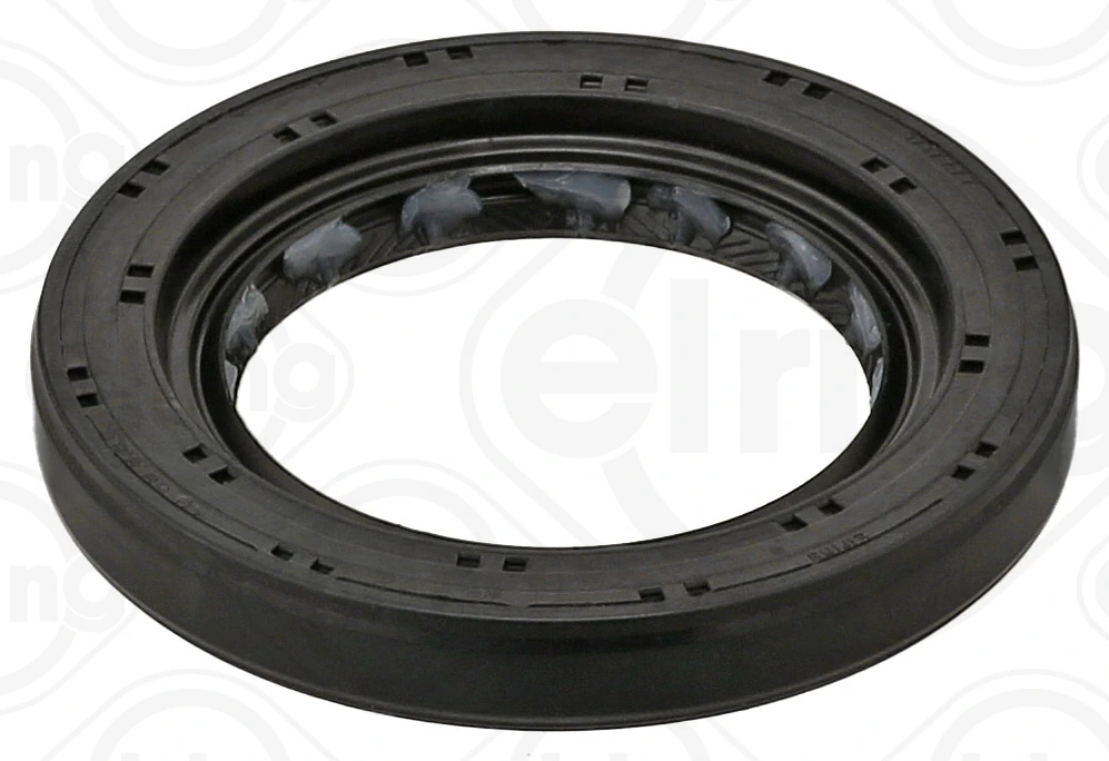 Shaft Seal, differential