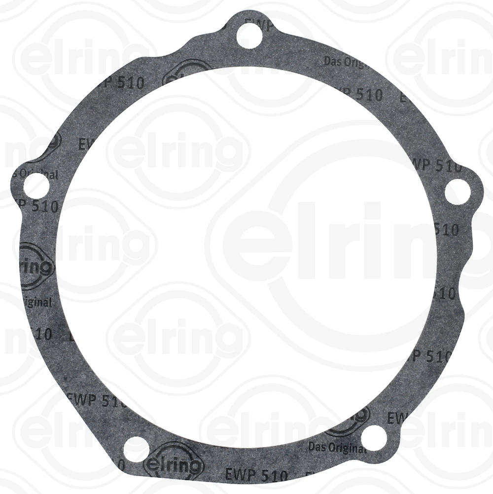 Gasket, timing case cover