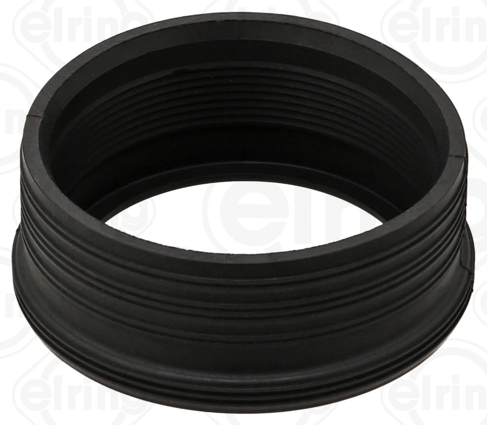 Seal Ring, charger