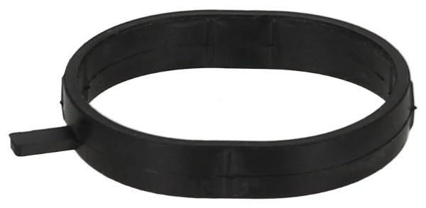 Seal Ring, coolant pipe